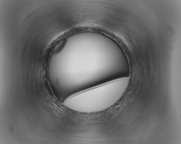 X0000111140872200906301015