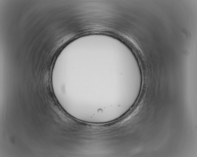X0000111140873200906301015