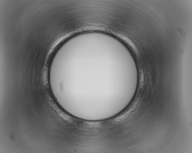 X0000111140878200906301015
