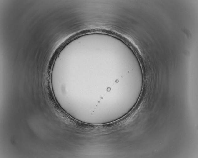 X0000111140879200906301015