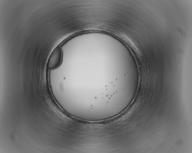 X0000111140884200906301015