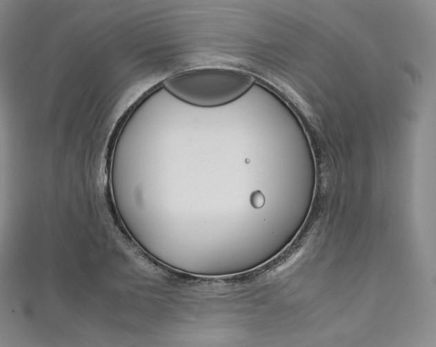 X0000111140885200906301015