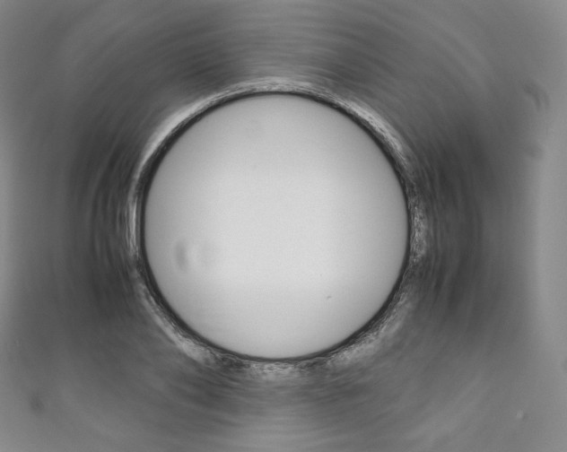 X0000111140886200906301015