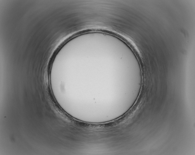 X0000111140887200906301015