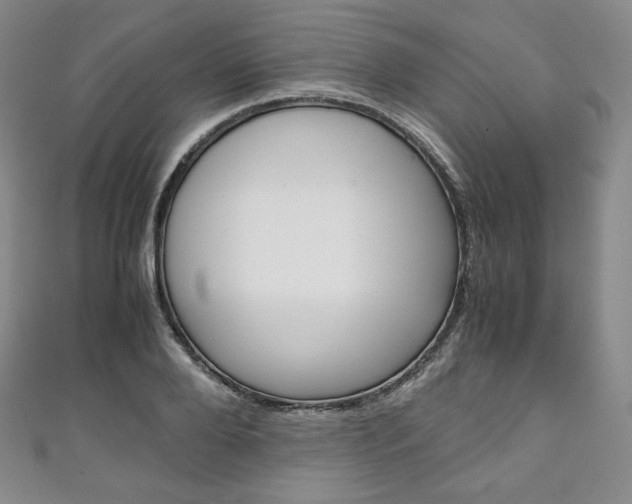 X0000111140888200906301015