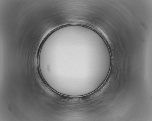 X0000111140891200906301015