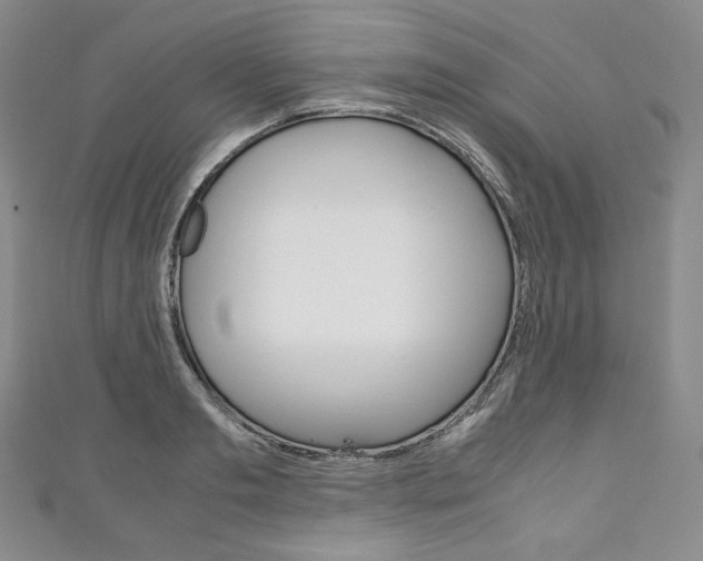 X0000111140893200906301015