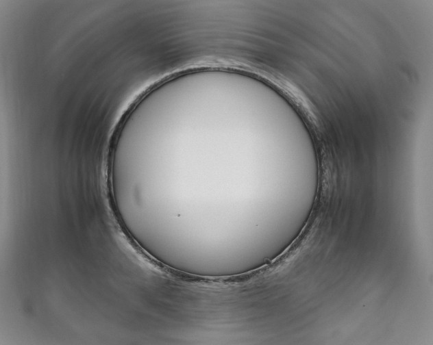 X0000111140896200906301015