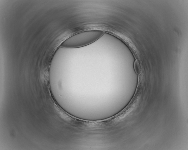 X0000111140897200906301015