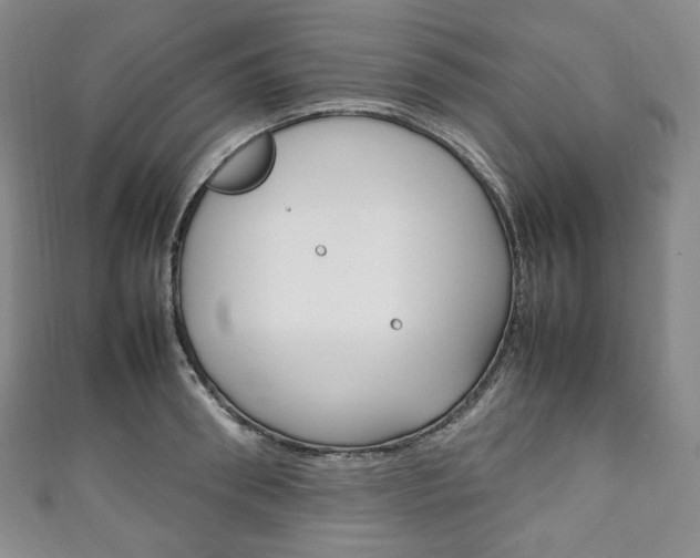 X0000111140898200906301015