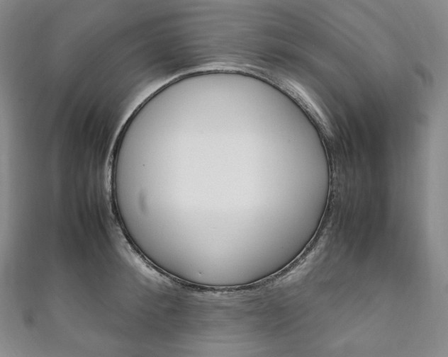 X0000111140900200906301014