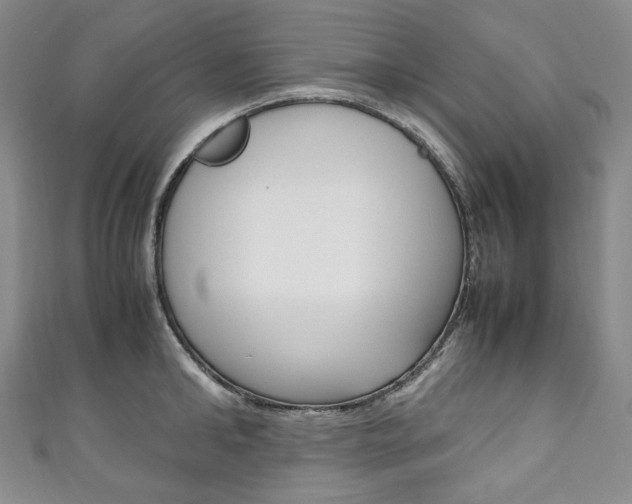 X0000111140902200906301014