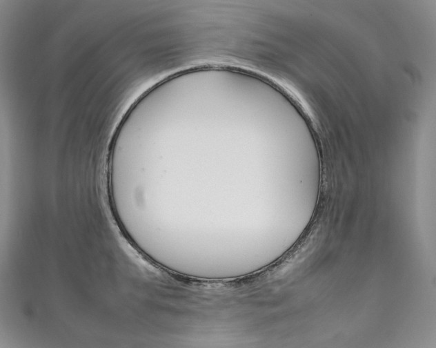 X0000111140903200906301014