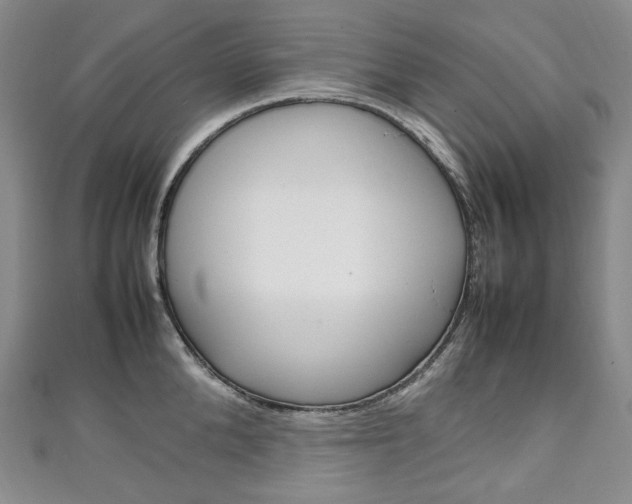 X0000111140904200906301014