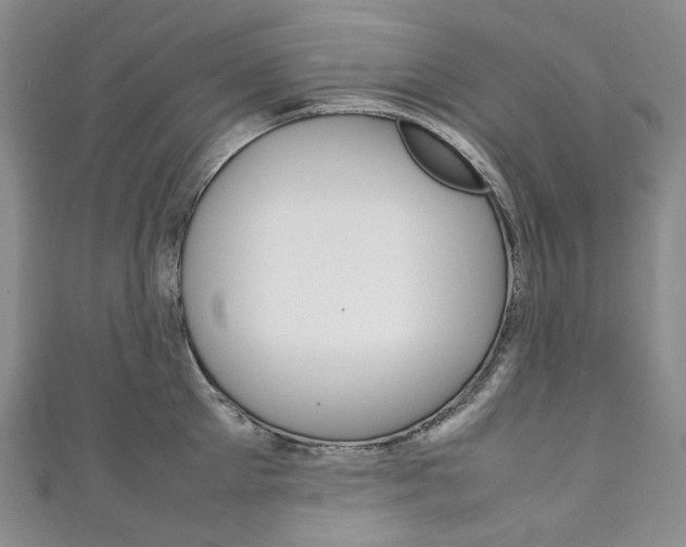 X0000111140905200906301014