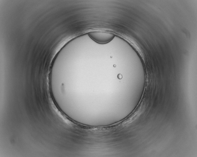X0000111140906200906301014