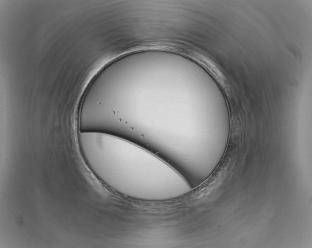 X0000111140907200906301014