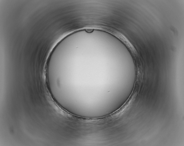 X0000111140908200906301014