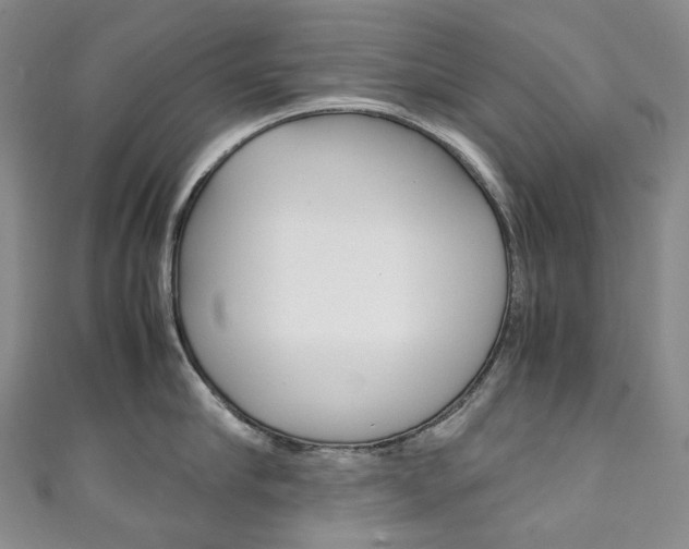 X0000111140910200906301014