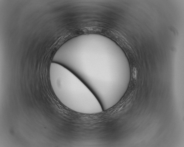 X0000111140915200906301014