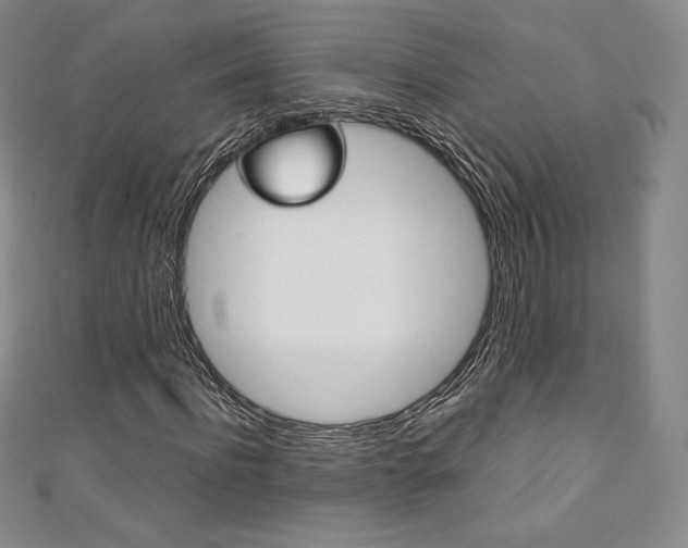 X0000111140916200906301014