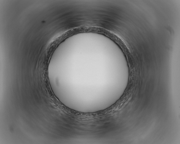X0000111140919200906301014