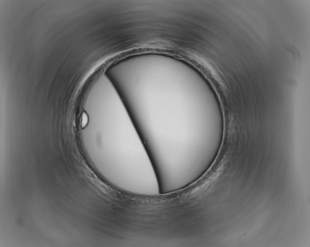 X0000111140923200906301014