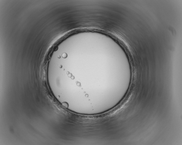 X0000111140925200906301014