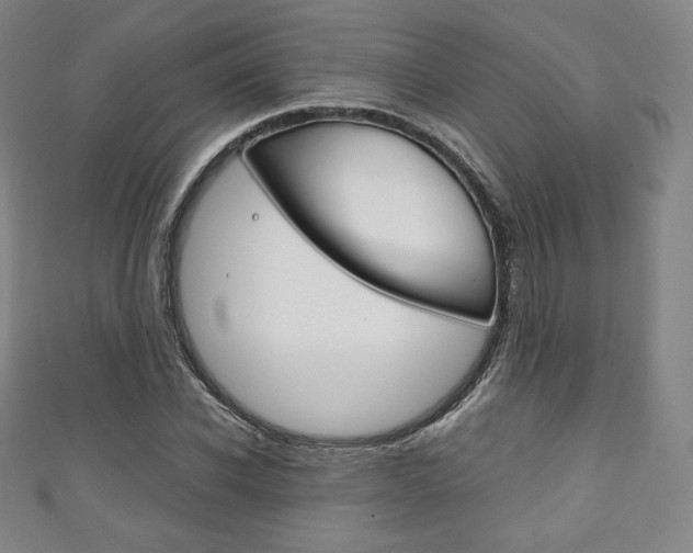 X0000111140926200906301014