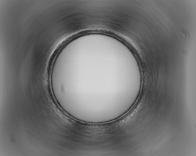 X0000111140927200906301014