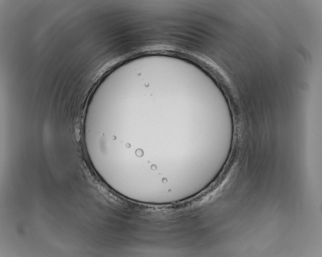 X0000111140929200906301014