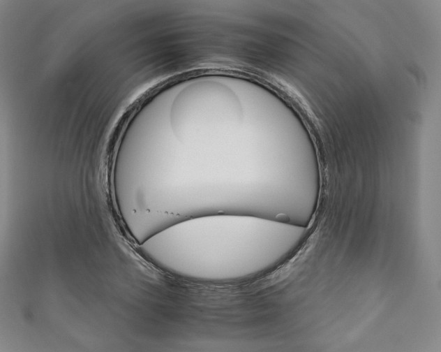 X0000111140931200906301014