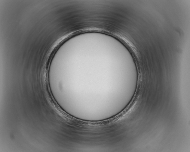 X0000111140933200906301014