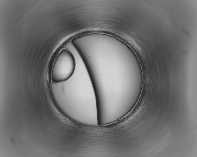 X0000111140934200906301014