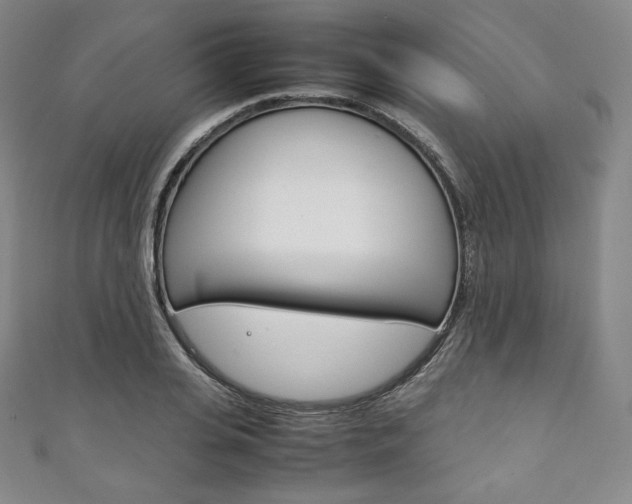 X0000111140935200906301014
