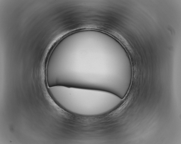 X0000111140939200906301014