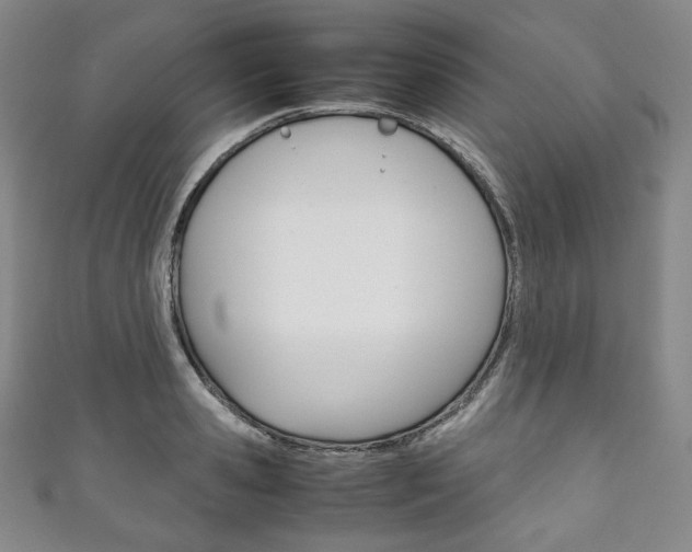 X0000111140941200906301014