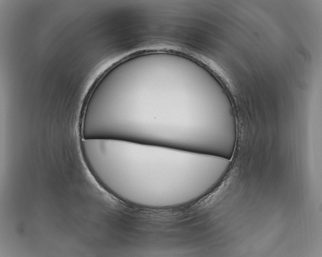 X0000111140943200906301014