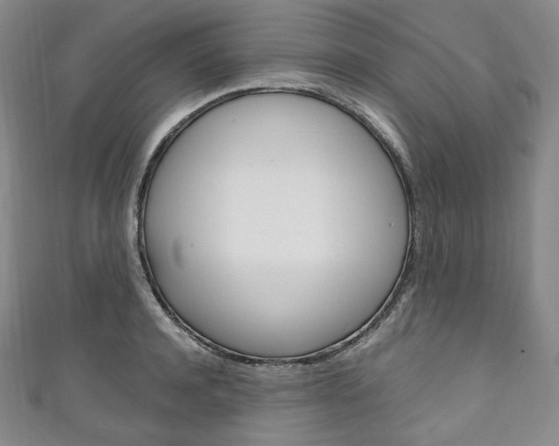 X0000111140944200906301014