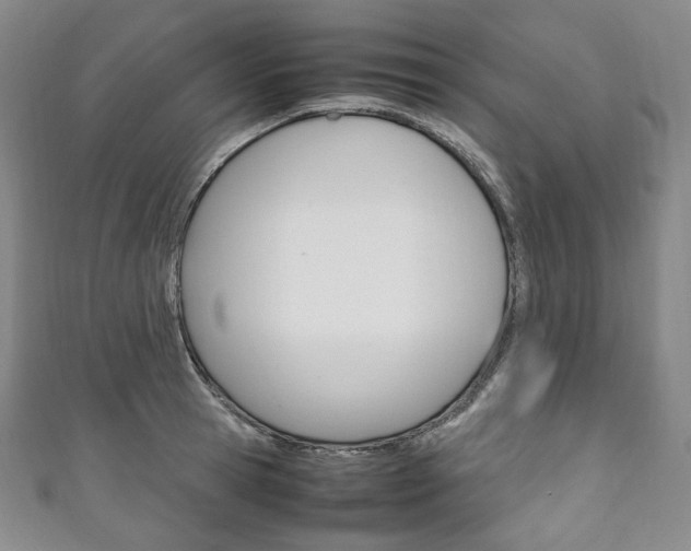 X0000111140945200906301014
