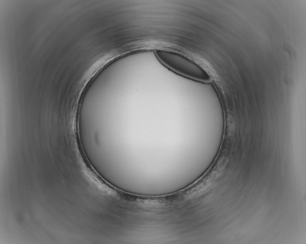 X0000111140946200906301014