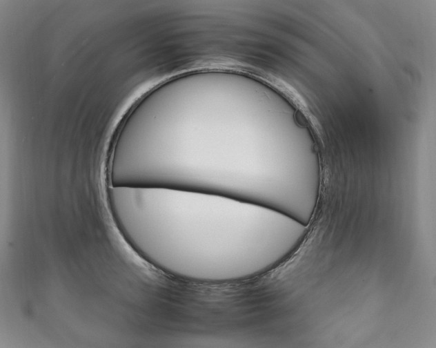 X0000111140947200906301014
