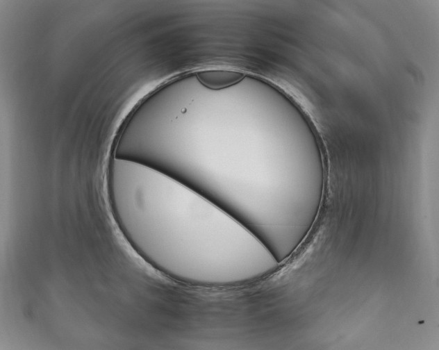 X0000111140949200906301014