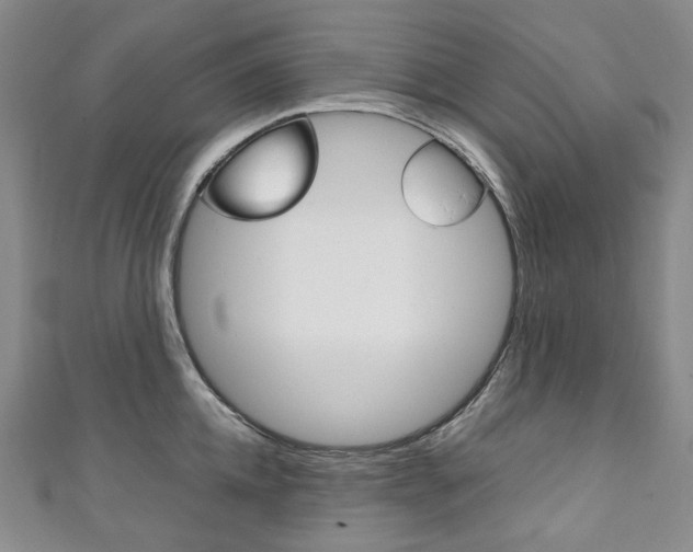 X0000111140952200906301014