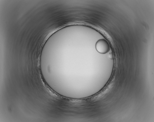 X0000111140953200906301014
