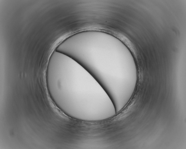 X0000111140954200906301014