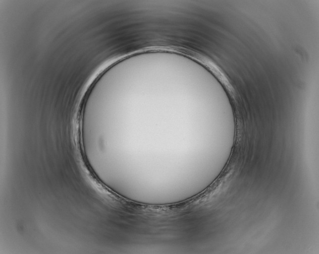 X0000111140955200906301014