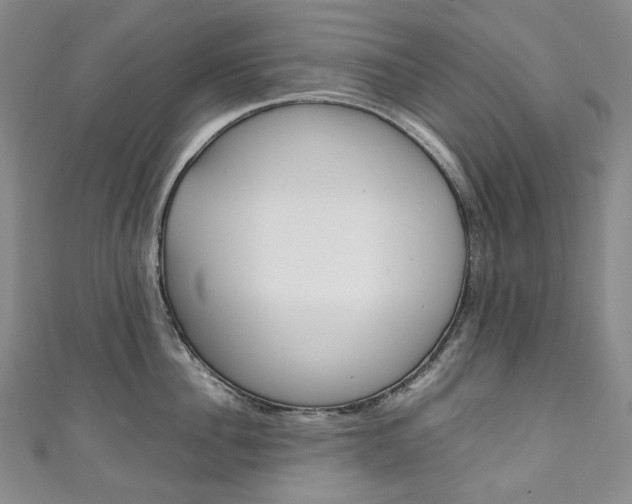 X0000111140956200906301014