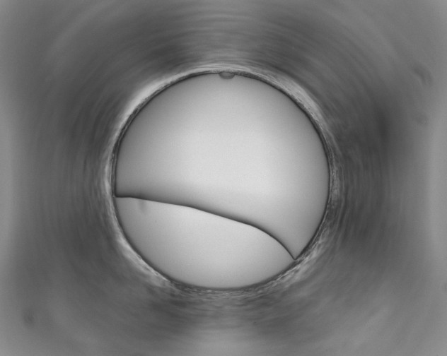 X0000111140958200906301014
