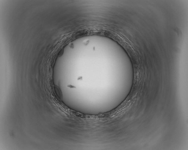 X0000111140961200906301014